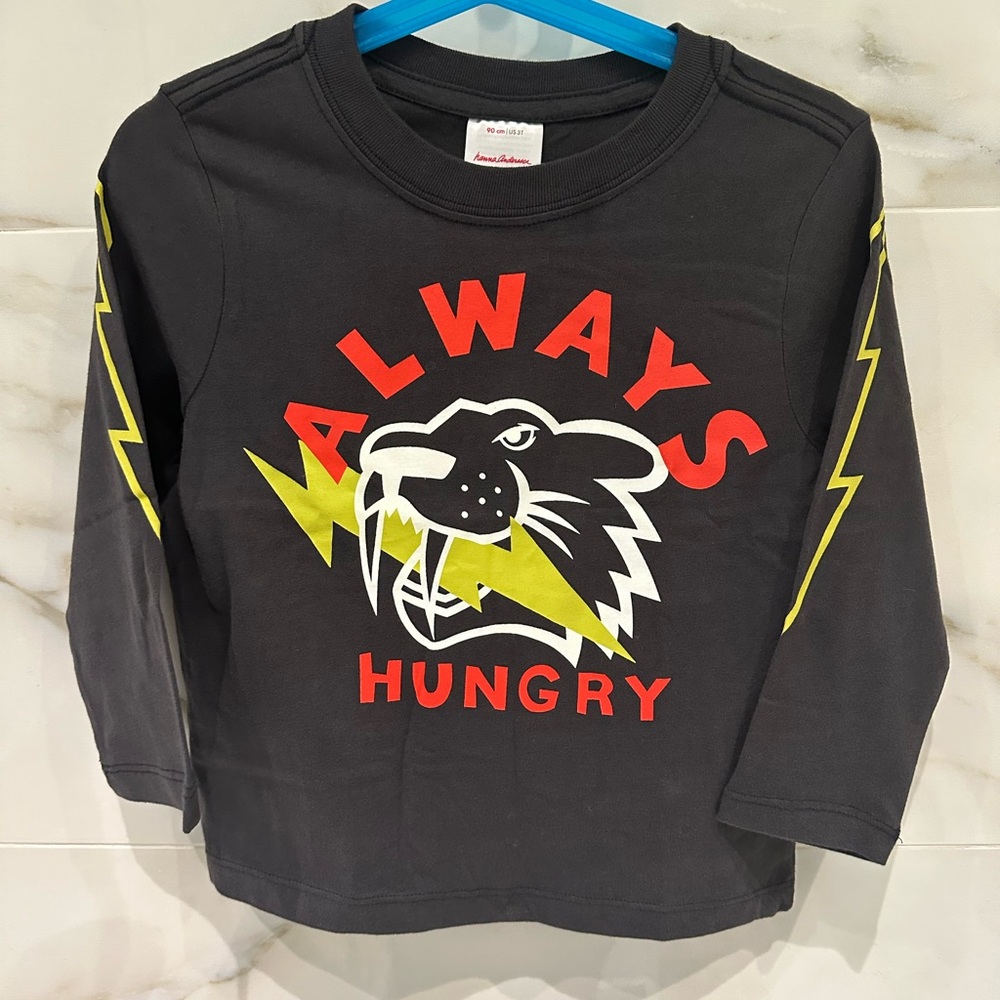 NWOT. Hanna Andersson long sleeve tee